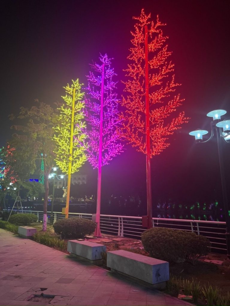 Thi công cây ánh sáng Vinhomes